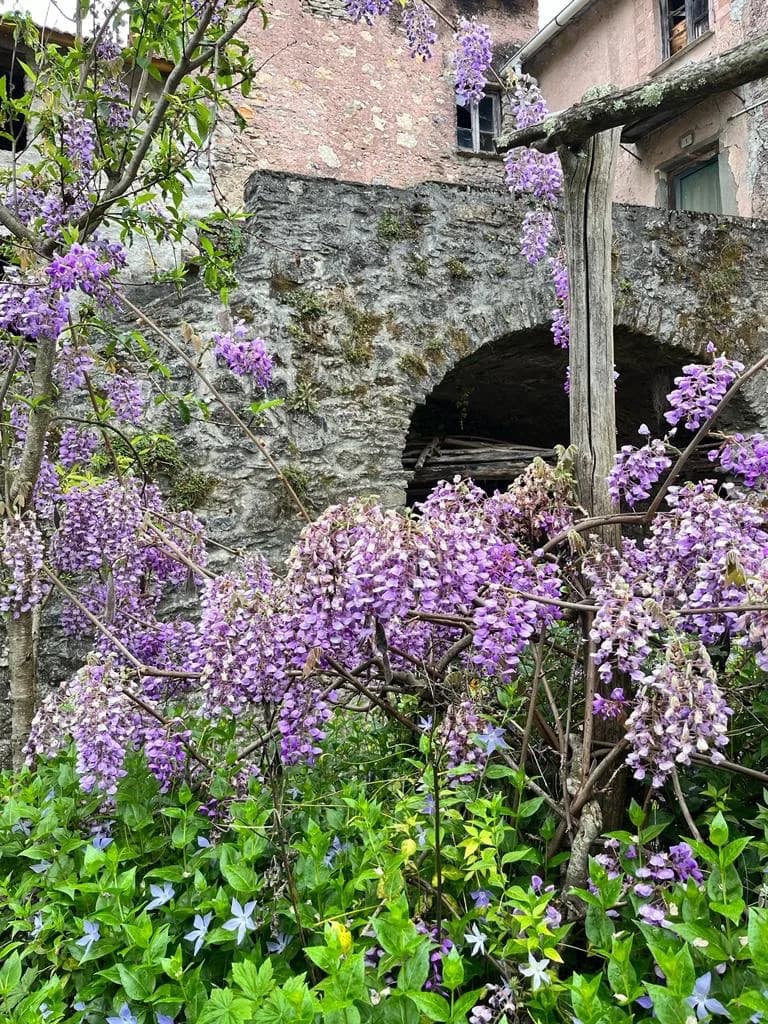 Camedone, das Dorf
