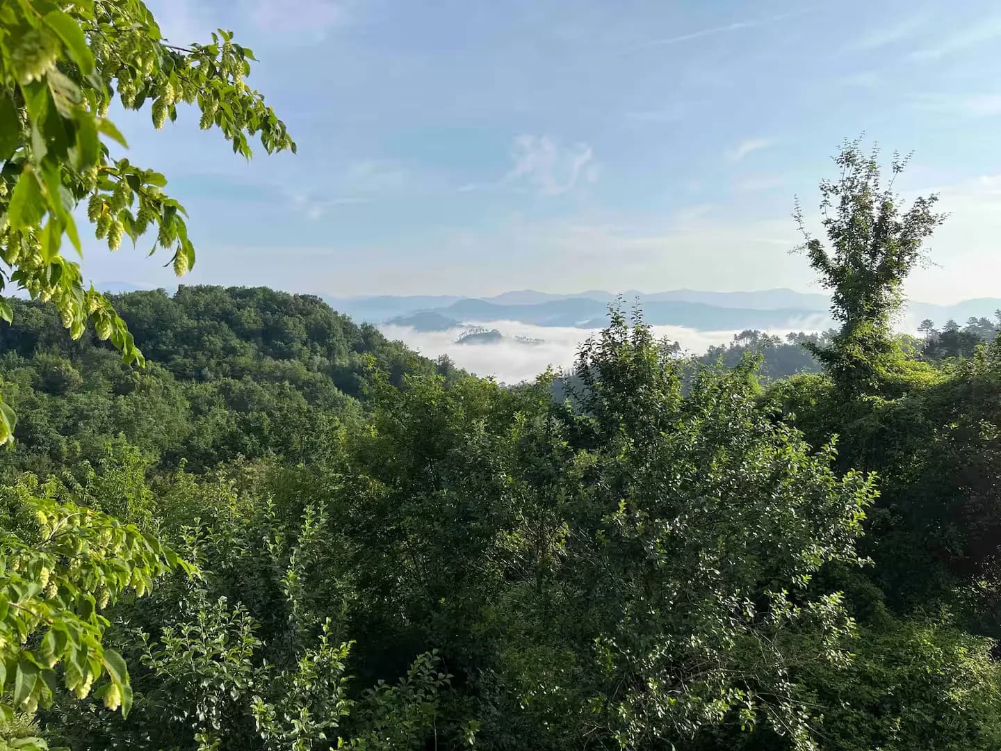 Camedone, das Dorf
